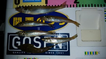 津居山港で撃沈し柴山港へ