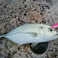 ちょっと渋い３バイト１ヒット