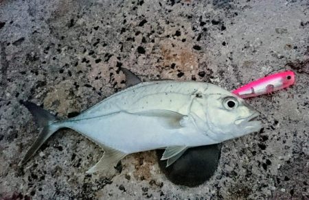 ちょっと渋い３バイト１ヒット