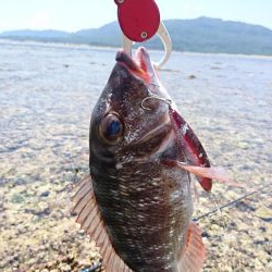 リーフエンドでルアーフィッシング