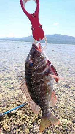 リーフエンドでルアーフィッシング