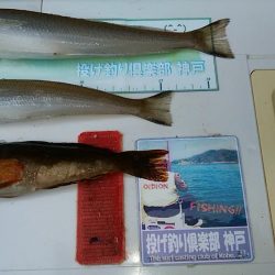 雨の東二見でキス狙い