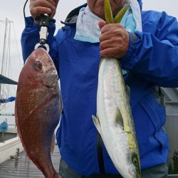 5/6 落とし込み五目