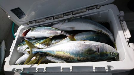 5/19 落とし込み調査