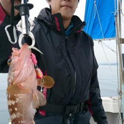 遊漁船110番釣果