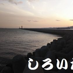 病み上がり、リハビリの釣り。