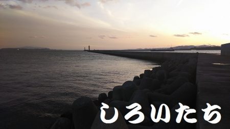 病み上がり、リハビリの釣り。