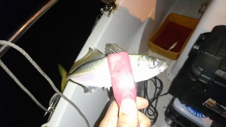 ボートアジング