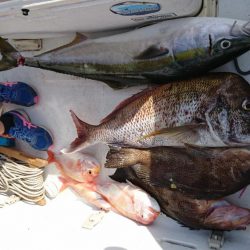 徳島県南タイラバ&ライトジギング