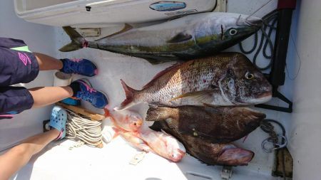 徳島県南タイラバ&ライトジギング