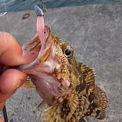 1日で状況は変わる