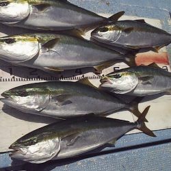 短時間ジギング勝負