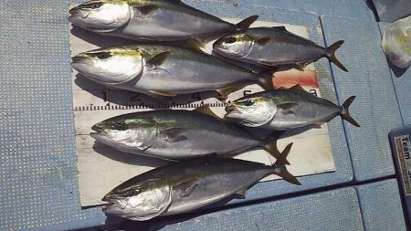 短時間ジギング勝負