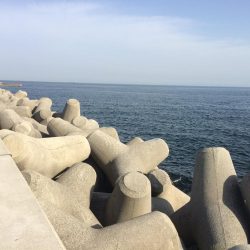 久しぶりの須磨へ