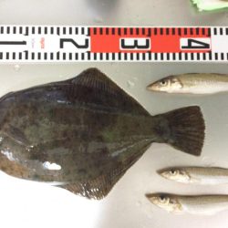 キロ超え釣れました〜