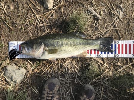 津風呂バス！！