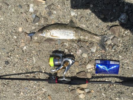 吉野川は最高ダー！