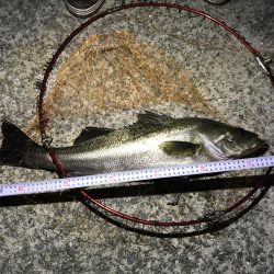 南芦屋浜にて初