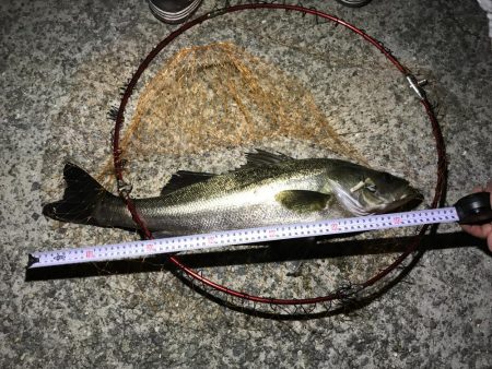 南芦屋浜にて初