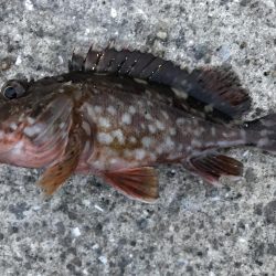 出勤前に。Part2