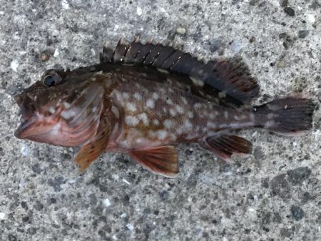 出勤前に。Part2