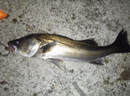 まだ早かった…