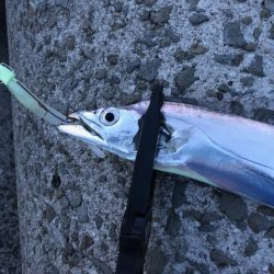 和歌山ワインド