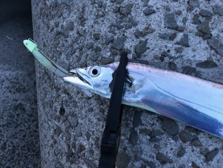 和歌山ワインド