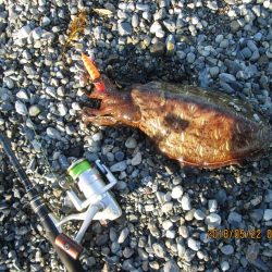 キロに届かず。