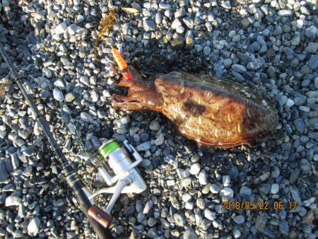 キロに届かず。