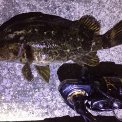 天保山、ダウンショットで怒涛の33連発！