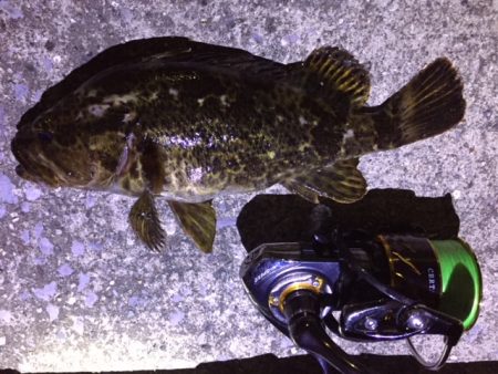 天保山、ダウンショットで怒涛の33連発！