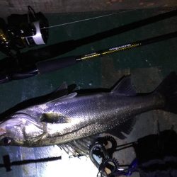 バチ抜け祭り、7バイト7キャッチ！