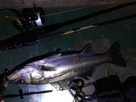 バチ抜け祭り、7バイト7キャッチ！