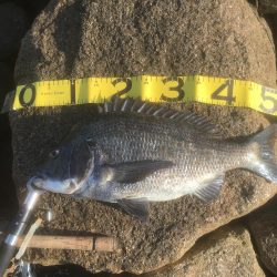 ボトム ズル引きパターンで