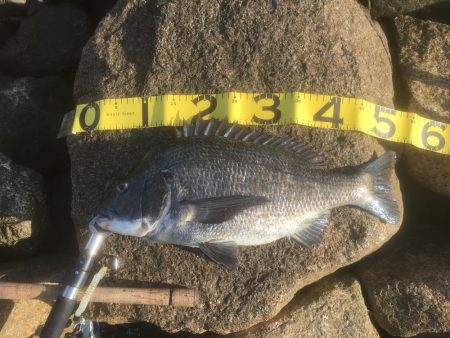 ボトム ズル引きパターンで