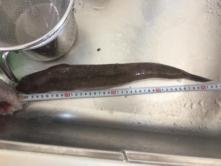 エソとエソ料理