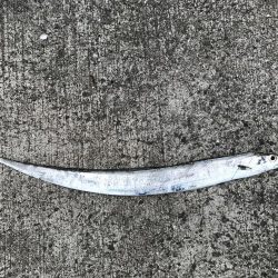 どんな状況でも活路はある