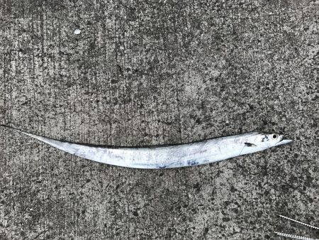 どんな状況でも活路はある