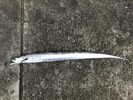 時合いを逃すな