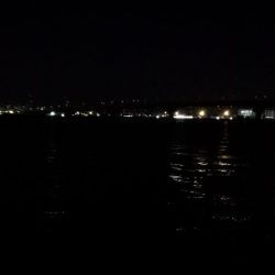 久々のグッドサイズ