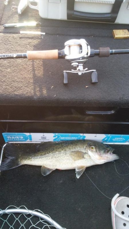 GW中盤シャロー