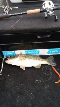 GW終盤まだシヤロー好調