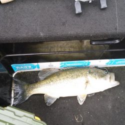 GW終盤の爆風は風裏で