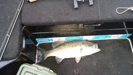 GW終盤の爆風は風裏で