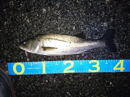 バッチリ、バチパターン