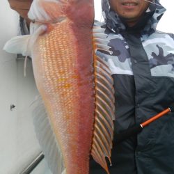 第二美丸　午前便五目釣り・午後便マダイ完全ふかせ