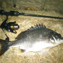 メバリングのつもりですが（汗）