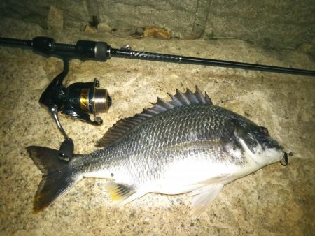 メバリングのつもりですが（汗）