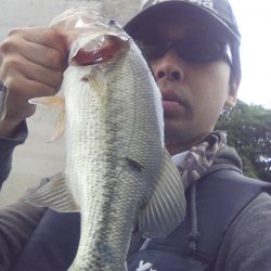 ちょっとお疲れ？